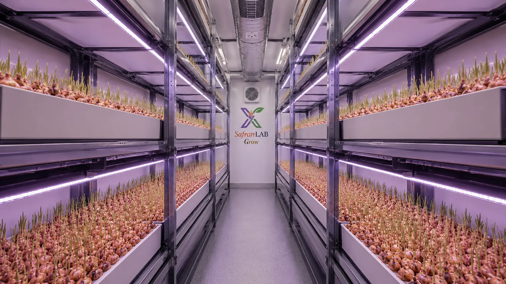 Mini Farm İç Görünüm